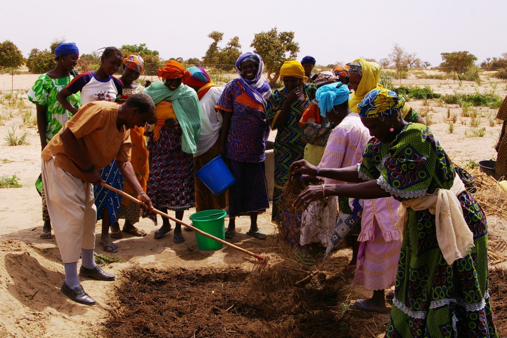 Mali. Concilier sécurité alimentaire et préservation des ressources