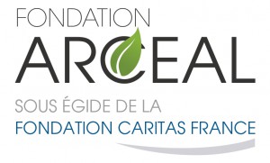 LOGO_FONDATION_ARCEAL