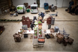 Lutte contre l’exclusion et maraîchage avec les Jardins de Cocagne