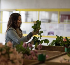 Vos dons en action: Fleurs de Cocagne - épisode 1