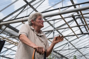 Evelyne bêche la terre pour déraciner les oignons © Martin Varret 