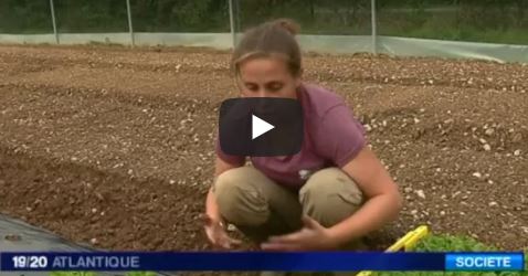 Vos dons en action: Des nouvelles du Jardin de Cocagne Arozoaar