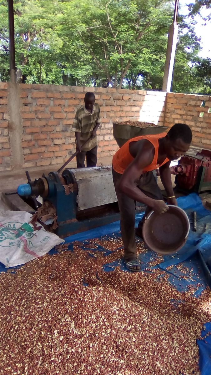 Tchad, Construction d'une clôture pour les champs
