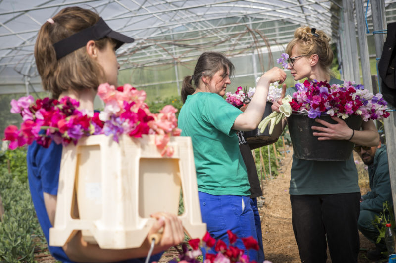 Fleurs d'Halage : fin du programme Acteurs de TransitionS 2023-2025