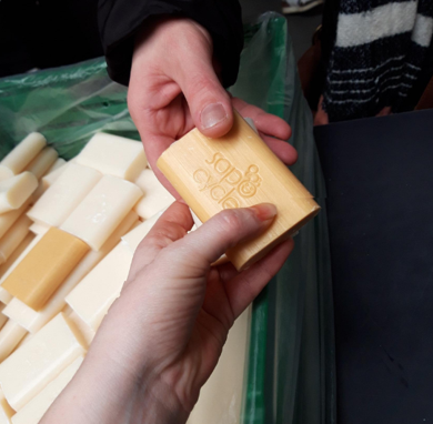 Sapocycle : fin du programme Acteurs de TransitionS 2023-2025